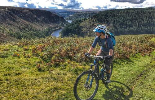 Gwilym's Stable - Foto 16