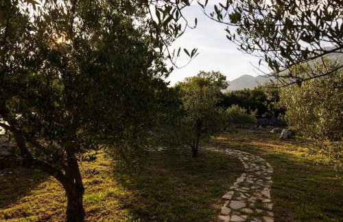 Holiday Home Korda - Photo 11