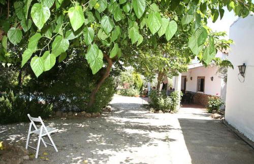 CAZORLA-ALCON, CASA HOYA DON GASPAR - Foto 7