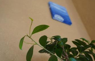 Ferienwohnung Ufer - Urlaub in der Sächsischen Schweiz - Foto 4