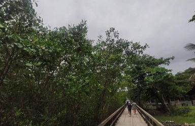 Casa Com Piscina Completa Ilha Comprida - Foto 26