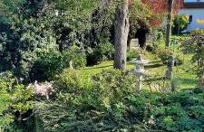 Das kleine Paradies - Foto 31