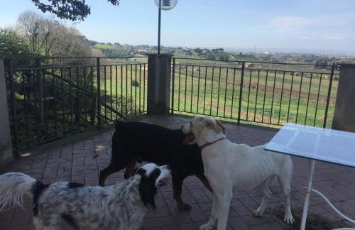 Merumalia Wine Resort - Foto 29