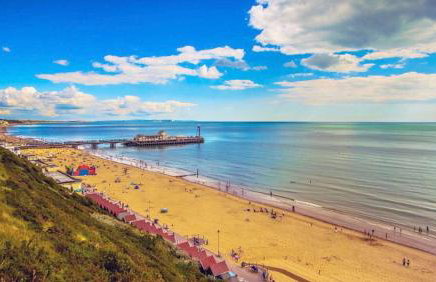 Poppy at Oakdene Forest Park - Foto 57