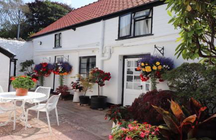 Cider Cottage - Photo 15