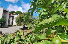 Flat Divina Paz Monte Castelo - Photo 42