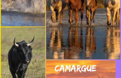 CHARMANT LOGEMENT AVEC PISCINE EN PROVENCE au premier étage d une villa - Foto 17