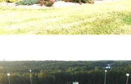 Magnificent Matthews - Foto 40