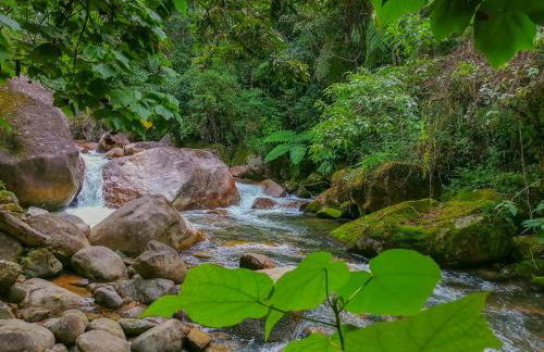 Chalé 1 Alto na Montanha, com lareira e wi-fi - Foto 58