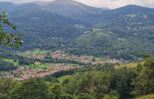 Le Chalet du Tanet spa sauna terrasse en Alsace - Foto 40