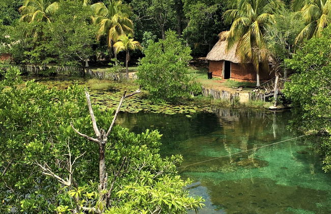 Tour di Los Petenes in motoscafo - Foto 1