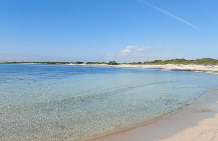 La Petraia - Foto 17