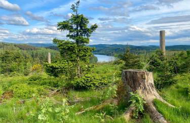 Ferienwohnung Müsen, nah an der Natur - Foto 26