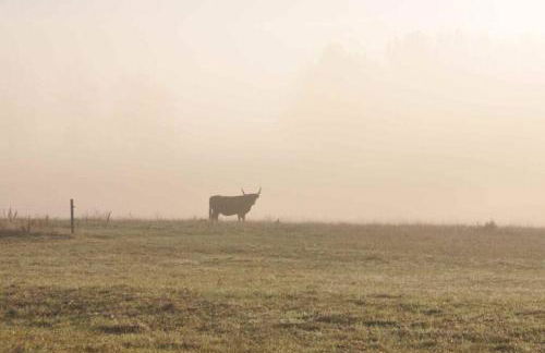 Ferienhaus Woddow Uckermark - Foto 18