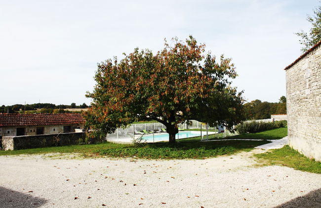 Domaine de la Laigne - Foto 32