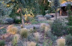 le mas du lavoir - Photo 23