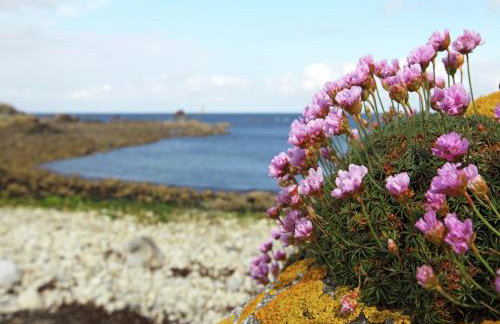 Peaceful Holiday Home in Plouguin with Indoor Pool - Foto 28