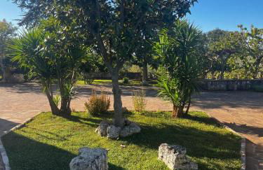 Trullo in vigna - Foto 35