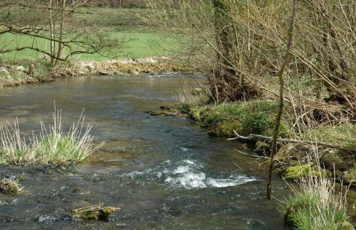 Ferienhaus am Brunnen - Foto 25