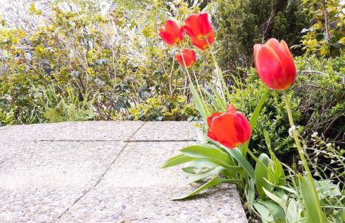 Apartment am Auensee mit großer Terrasse & Privat-Parkplatz - Foto 11