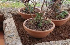 Stone Cottage Cesarovina - Foto 9