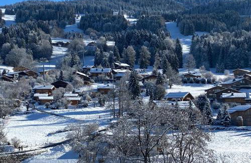 Appartement 71m2 près de Megève, à 200m télécabine la Princesse, local à ski, 2 chambres, parking couvert - Foto 37