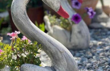 House of sunset 2 Sivas - Photo 40