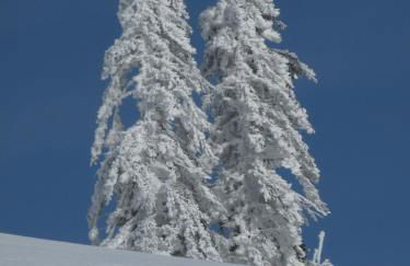 Landhotel und Apartments Sonneck - Photo 51