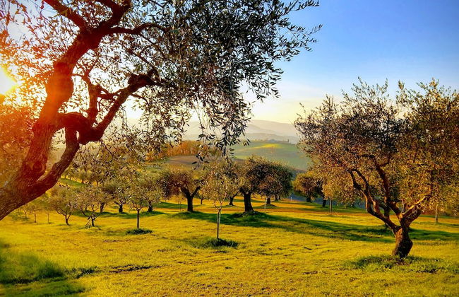 Il Querceto - B&B e Appartamenti Vacanze - Foto 40