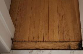 The Fred Deluxe 7 BR by I95 Train HarborVw Beach - Foto 13