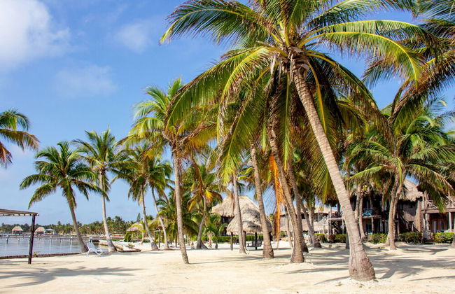 Villas De Isla Bonita - A4 - Foto 30