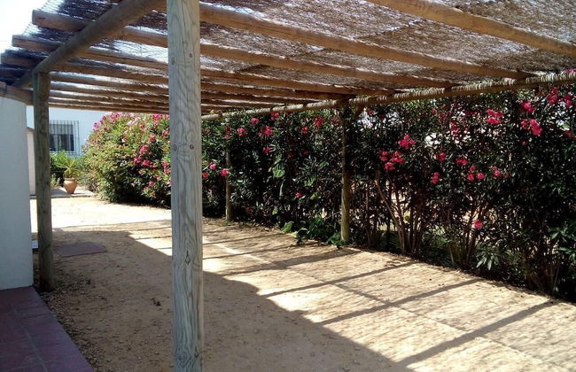 Villa Pinos Zahora - Beach Front Pine Trees - Foto 31