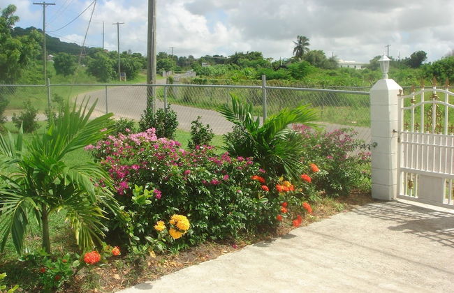 Friars Hill Cottage - Foto 7