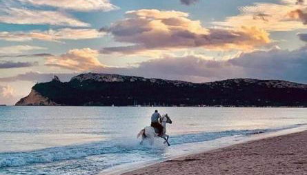 Trilocale Margine Rosso - Foto 5