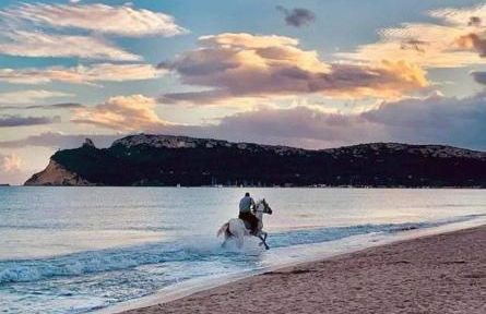 Trilocale Margine Rosso - Foto 5