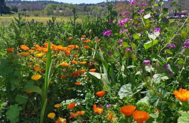 Starbase18 lda Ecotourism - Foto 50