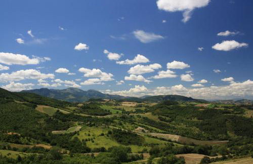L'ALPACA DELLA ROSSA - AGRITURISMO - Foto 17
