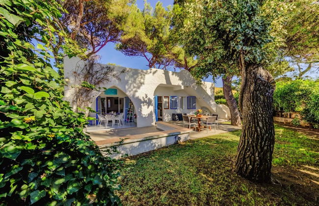 New 2020 Casa Plomer - Foto 18