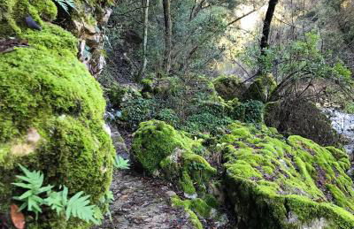 La Calade 1 bedroom Studio - Biot Village - Foto 18