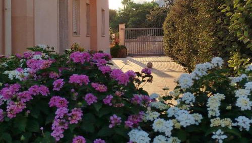 Profumo di Mare 1 - Foto 5