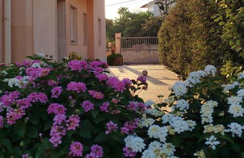 Profumo di Mare 1 - Foto 5