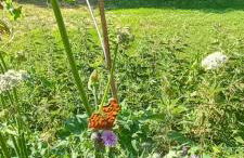 1 Barge Cottage - Foto 31