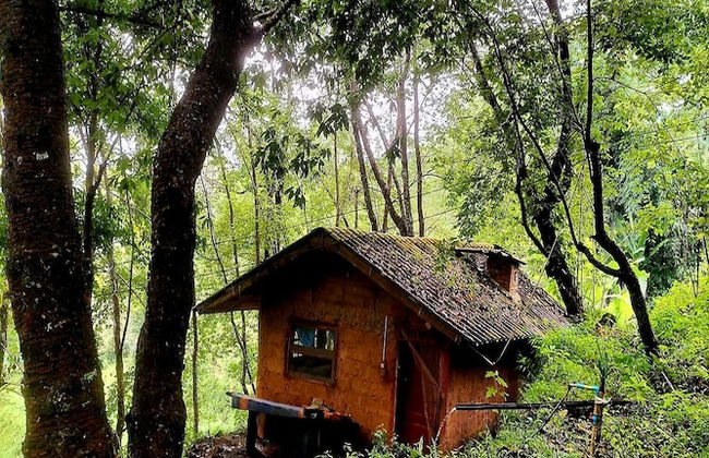 Doi Pumuen Lahu Homestay - Foto 29