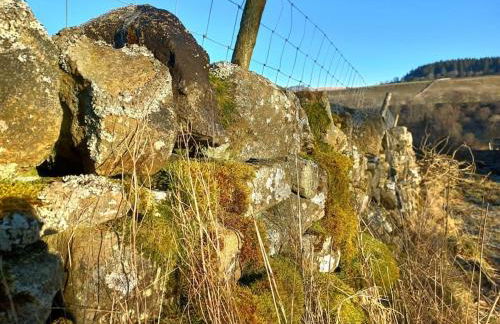 The Hideaway Shepherd’s Hut, Alston, Cumbria - Foto 39