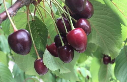 Tuscany Nature Relax - Photo 19