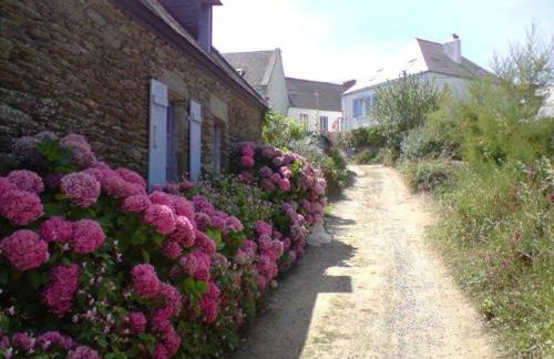 La Breizh'îlienne - Photo 20