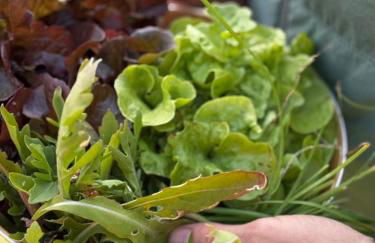 Gutshaus Haidhof - Foto 37