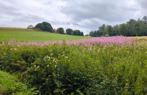 Haus Rosengarten - Foto 31