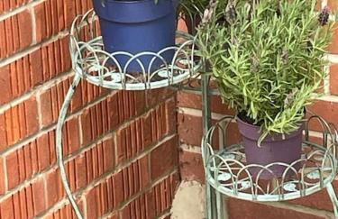 New Forest - The Nook at Tatchbury House - Foto 29