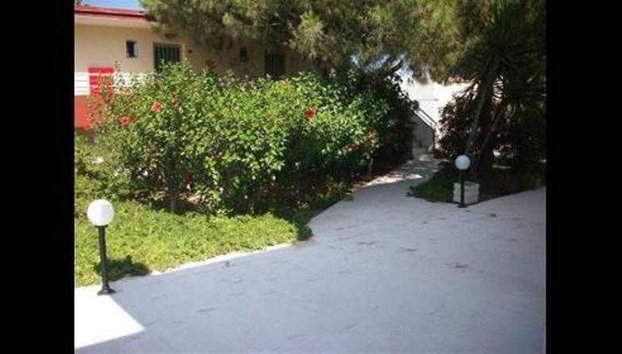 Rena Studios - Foto 3